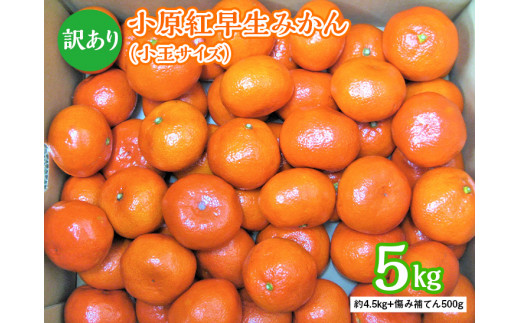 訳あり小原紅早生みかん 小玉サイズ 約4 5kg 傷み補てん500ｇ 家庭用 11月下旬から1月中旬発送 ミカン 蜜柑 香川県 旬 訳アリ 北海道 沖縄 離島への配送不可 香川県まんのう町 ふるさとチョイス ふるさと納税サイト