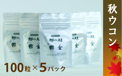 サプリメント 「尿酸と脂肪のダブルバスター」30日分 (90粒) 【機能性
