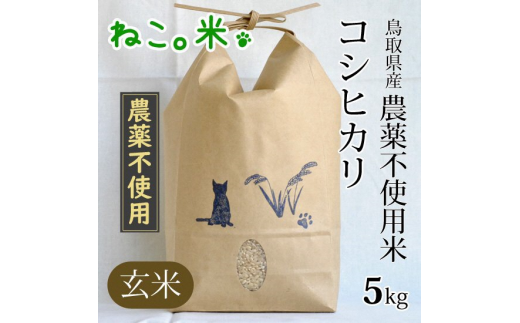 農薬不使用米 コシヒカリ 玄米(5kg)