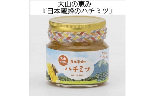 MS-81　大山町産プレミアムはちみつ「日本蜜蜂のはちみつ」（290g×1本） 867992 - 鳥取県大山町