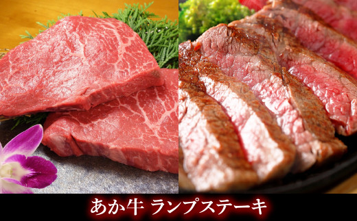 熊本県産 あか牛 ステーキ ＆ ローストビーフ セット 合計1,100g 和牛
