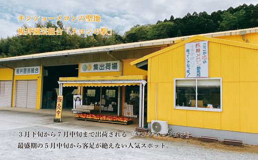 【2022年5月下旬～発送】熊本県 菊池市産 キンショーメロン 2kg(3～6玉) メロン ノーネット