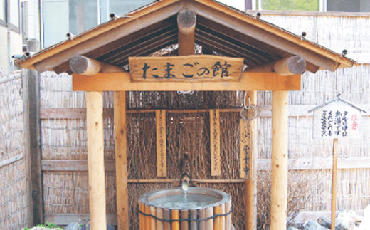ふるさと納税 秘湯! 源泉かけ流し 【松川温泉 松川荘】 1泊2食付