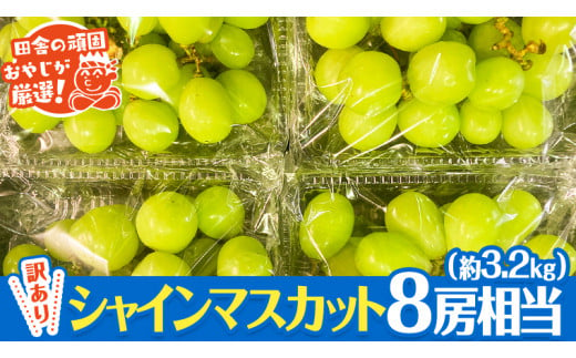 【 訳あり 】 シャインマスカット 8房相当（約3.2kg） 【令和6年9月より発送開始】 田舎の頑固おやじが厳選！