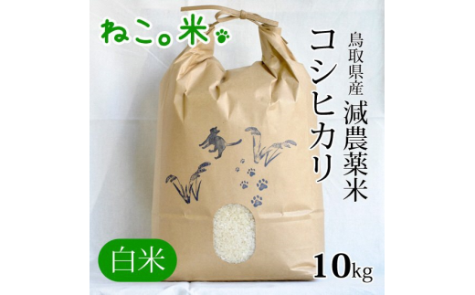 減農薬米 コシヒカリ（１０ｋｇ）