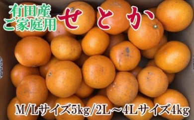 (訳あり・ご家庭用)一度は食べていただきたい「有田産のせとか」約4kg～5kg★2026年２月中旬頃より順次発送［TM210］ 843445 - 和歌山県和歌山市