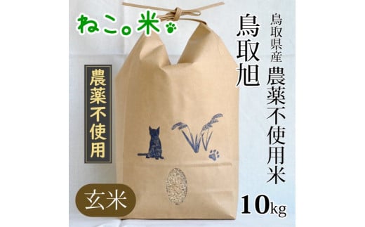 農薬不使用米 鳥取旭 玄米（１０ｋｇ） 302277 - 鳥取県倉吉市