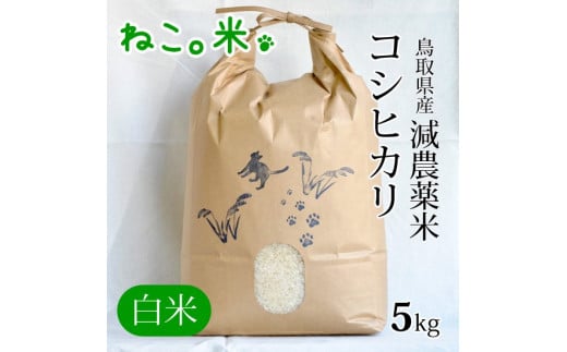 減農薬米 コシヒカリ（５ｋｇ） 419390 - 鳥取県倉吉市