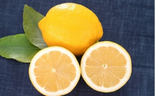 果汁たっぷり！フレッシュな酸味が弾けるもぎたてレモンは皮まで丸ごと食べられます。
