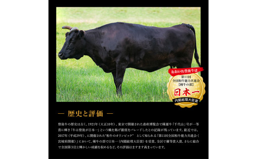 Ｃ－５３ おおいた豊後牛 サーロイン ステーキ 500g (250g×2枚)