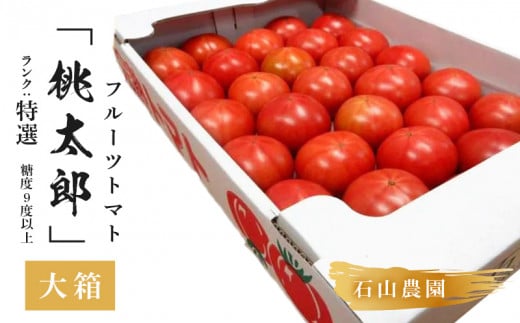 ５０１６　美味しんぼに登場したトマト｢桃太郎｣大箱 約3.5ｋｇ：特選 糖度９度以上 令和6年１月中・下旬より順次発送 石山農園 