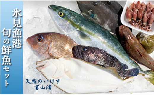 天然のいけす 富山湾 氷見漁港 旬の鮮魚セット※配送地域限定