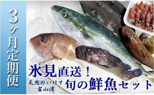 天然のいけす 富山湾 氷見漁港 旬の鮮魚セット定期便3ヶ月連続※…