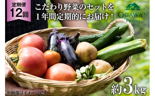 No.135 OGAWA'N 野菜セット ／ 農産物 やさい 詰合せ 旬＜JA埼玉 