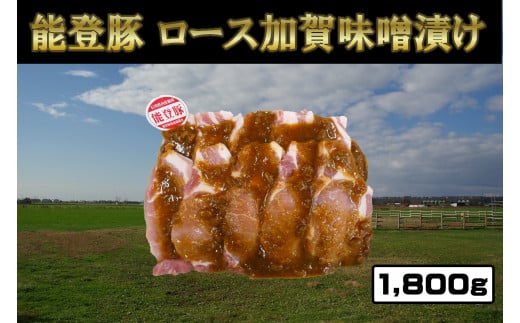 能登豚ロース加賀味噌漬け1800g 300749 - 石川県内灘町