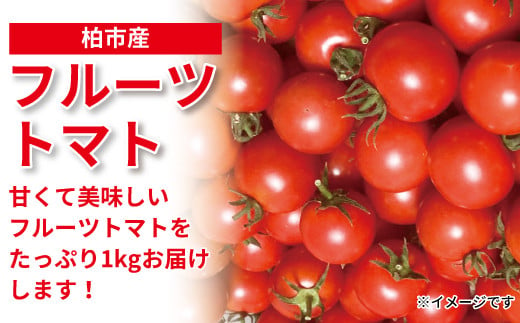 柏市産　フルーツトマト　1kg 〈先行予約 2025年5月順次発送〉