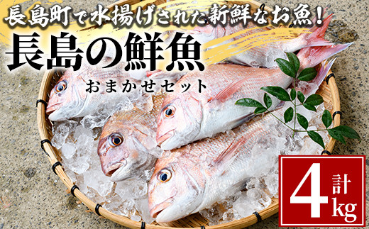 長島の鮮魚おまかせセット_ikegami-737