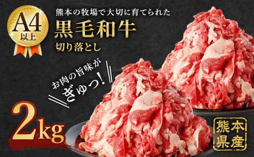 熊本県産 黒毛和牛 A4以上 切り落とし 2kg 牛肉 国産