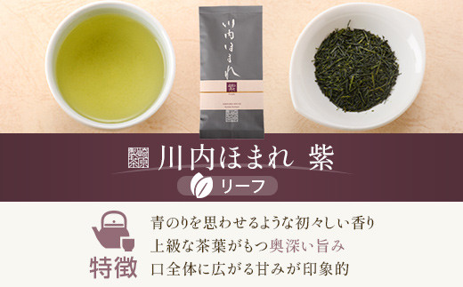 川内ほまれ【紫】煎茶 計300g