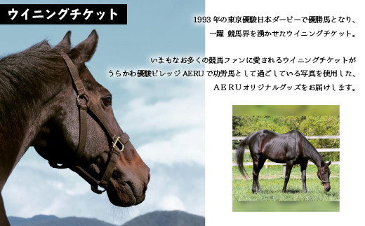 存命中の最高齢G1馬｢ウイニングチケット｣。北海道浦河町のAERUで余生を過ごしている写真を使用しています。