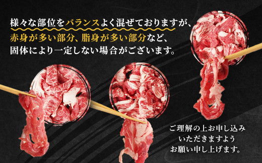 【6ヶ月定期便】熊本県産黒毛和牛A4以上 切り落とし 1kg 合計6kg