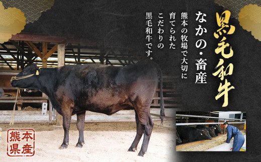 【6ヶ月定期便】熊本県産黒毛和牛A4以上 切り落とし 1kg 合計6kg