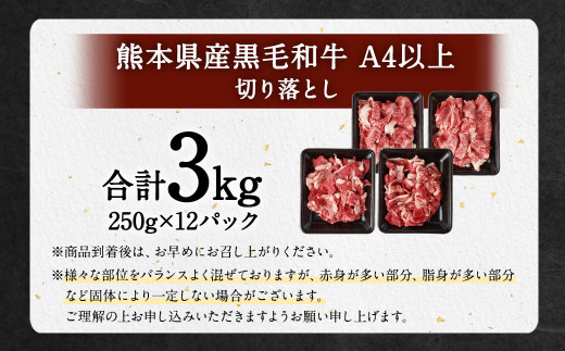 【3ヶ月定期便】熊本県産黒毛和牛A4以上 切り落とし 1kg 合計3kg