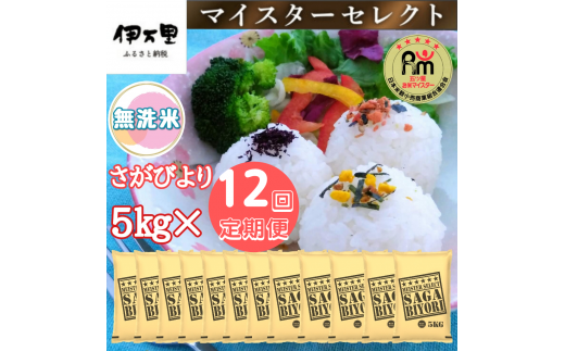 【定期便】《無洗米》さがびより５kg×１２回 B556 302506 - 佐賀県伊万里市