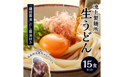 本家 池上製麺所 生うどん15食（鎌田醤油 だし醤油） 408485 - 香川県