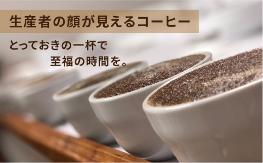 大幅価格改定 【ふるさと納税】深煎りコーヒー豆 250g×2袋 (豆・粉選べ