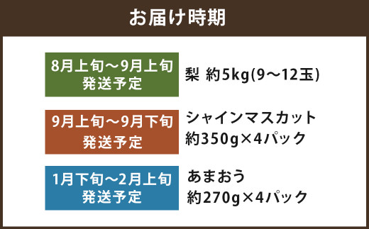 【年3回定期便】数量限定！ 旬のフルーツ定期便【8月上旬～順次発送予定】【梨・シャインマスカット・あまおう】