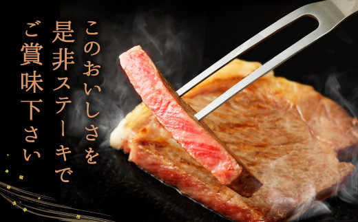 熊本県産 黒毛和牛 サーロイン ステーキ 計600g（200g×3） 国産 牛肉