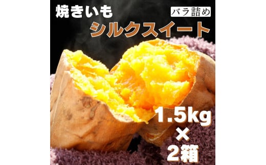 茨城県産 焼き芋シルクスイート 1.5kg×2箱(計3kg) さつまいも 焼きいも 303113 - 茨城県鉾田市