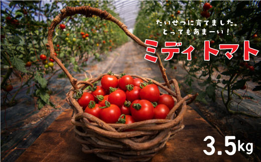 2022年産 のんの畑北海道ミディトマト3.5kg