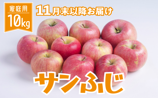 りんご サンふじ 家庭用 10kg[2022年11月末日以降お届け]