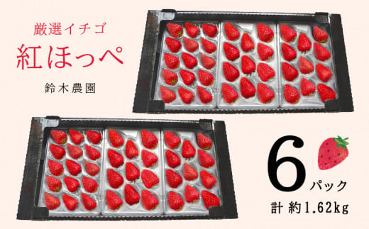 １０５９ 紅ほっぺ いちご 静岡県産 270ｇ×6パック 計1.6㎏ 令和５年３