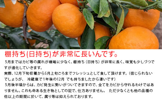 日持ちがよく、普通ミカン品種に比べ、２倍以上の長い期間を
フレッシュとして食べて頂くことができます。