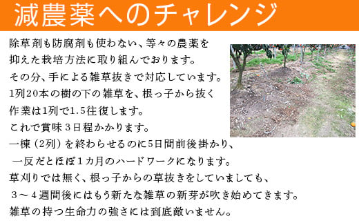 除草剤、防腐剤を使わない農薬を抑えた栽培方法に取り組んでおります。