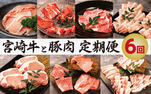 【定期便・全6回】宮崎牛と宮崎県産豚肉バラエティコース 合計7.9㎏ [Z73-01]
