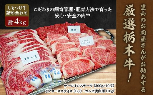 里山のお肉屋さんがお勧めする厳選栃木牛!しもつけ牛 詰め合わせ4kg【1248252】