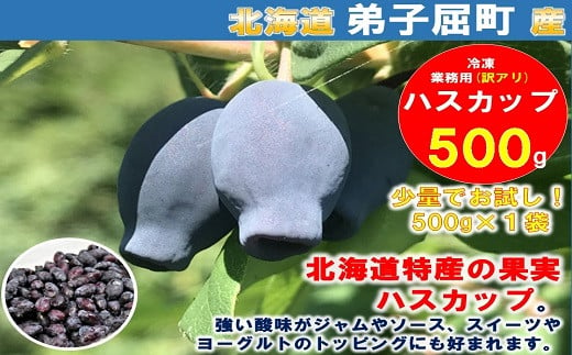 1860.北海道特産の果実ハスカップ、実がしっかりした良品！1000g - 北海道弟子屈町｜ふるさとチョイス - ふるさと納税サイト