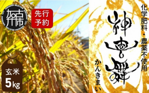 【先行予約】お米 化学肥料・農薬不使用“神喜舞” 玄米 5kg【2101B07202-1】