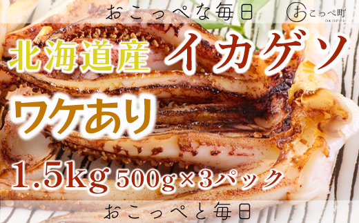 [ワケあり]北海道産 イカゲソ1.5kg