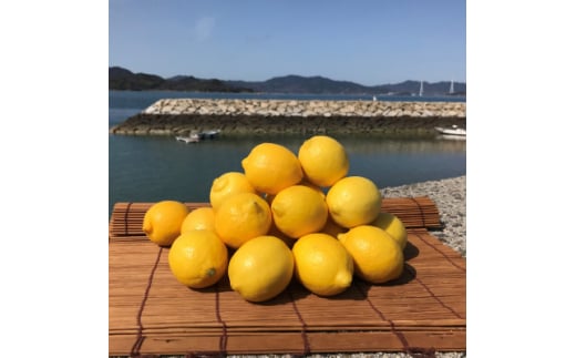 青いレモンの島　国産レモン約3kg(冷蔵便発送)※サイズはS玉～2L玉のいずれかもしくは混載【1299053】 339170 - 愛媛県上島町