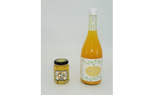 みかん蜂蜜「ジオハニー」170g×１瓶と柑橘生搾りジュース720ml×１本のセット 247410 - 愛媛県西予市