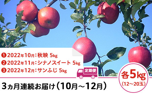 J0523長野市産りんごの定期便【3ヵ月連続5kgずつお届け（10月～12月）】（矢島農園）