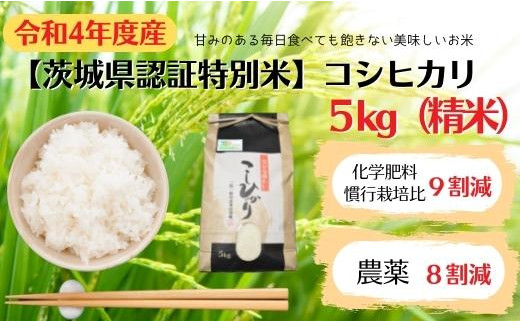 【茨城県認証特別米】　コシヒカリ　5kg（精米）