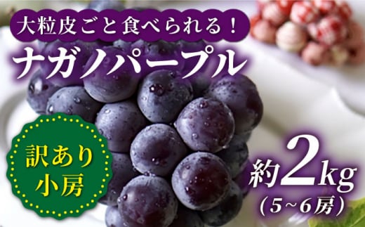 【訳あり】【数量限定】【種なし皮ごと！】ナガノパープル 約2kg（5～6房） ぶどう ブドウ 巨峰 種なし 西海市産  ＜山田敦義＞ [CCX004] 303025 - 長崎県西海市