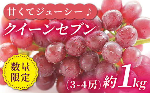 【☆先行予約☆】 【種なし皮ごと！】 クイーンセブン 約1kg（3～4房） ぶどう ブドウ 種なし 西海市産 ＜最強の兼業農家山田さん＞ [CCX007] 303028 - 長崎県西海市