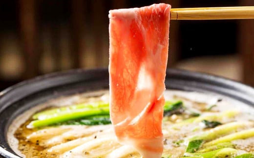黒胡麻 担々鍋 セット (2～3人前)  スープ 豚肉 うどん 野菜 生麩 ラー油